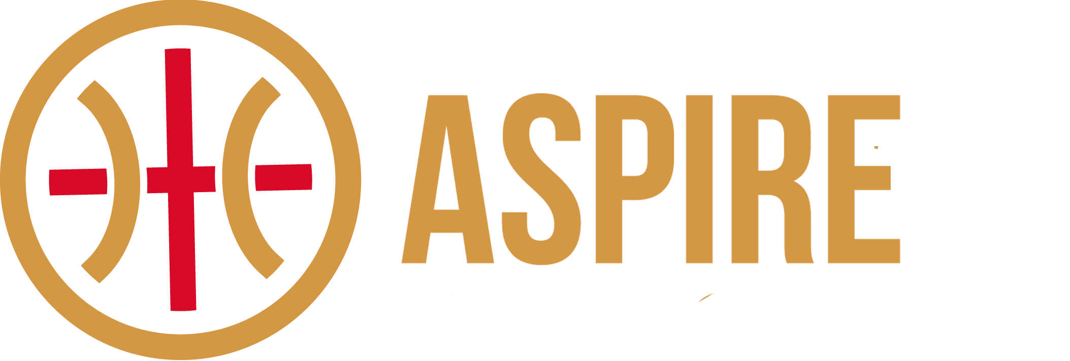 Basketball England's Aspire programme — beneficiary of London's Got Talent